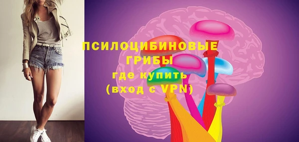 мдпв Ступино