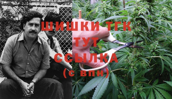стаф Струнино