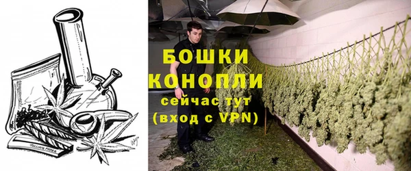 мдпв Ступино