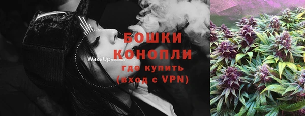 стаф Струнино