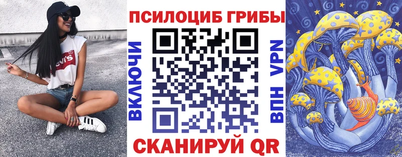 магазин продажи наркотиков  Орёл  OMG сайт  Псилоцибиновые грибы ЛСД 